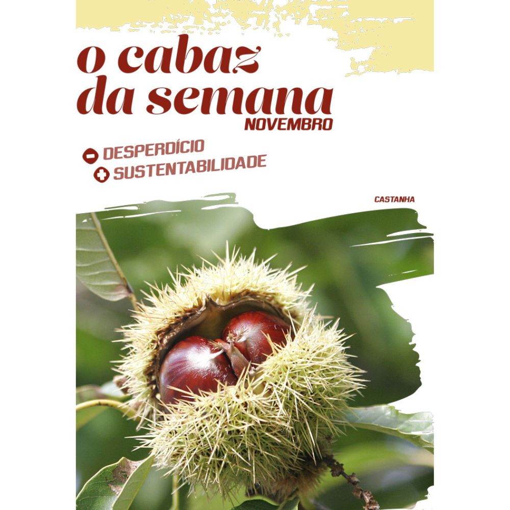 Brownie de castanhas