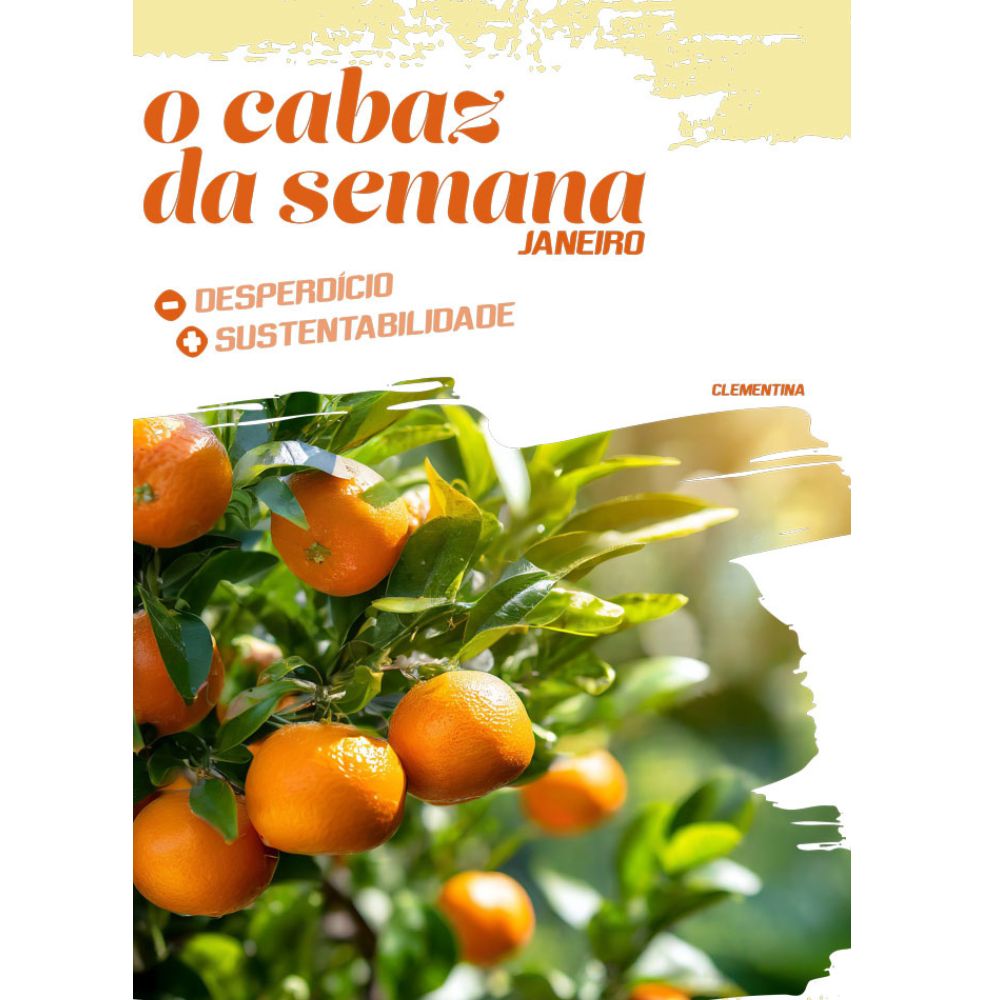 Bolo de clementina e canela