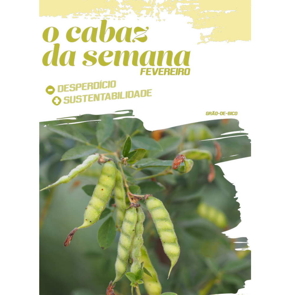 Pataniscas de Grão-de-bico