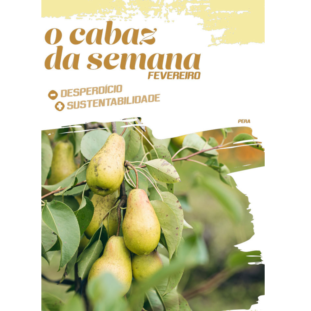 Sopa de pera com abóbora