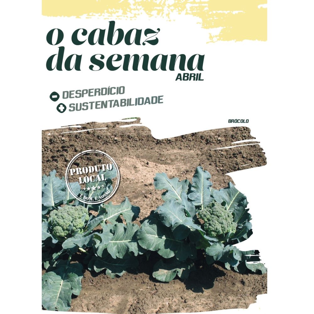 Brócolos Gratinados