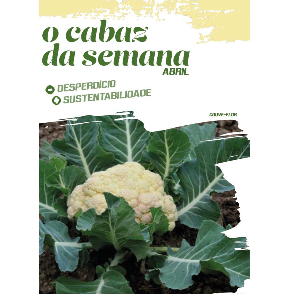 Carbonara com molho branco de couve-flor