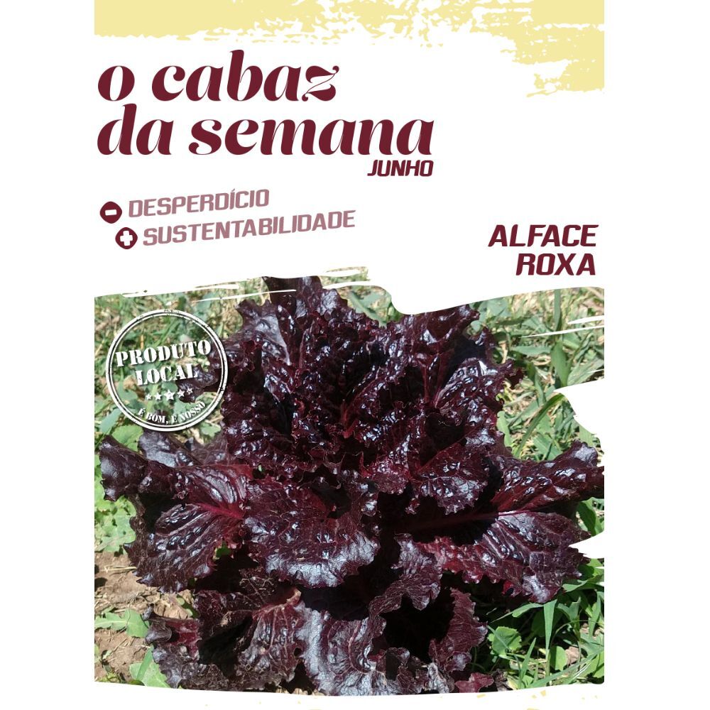 Taças crocantes com alface roxa, maçã e nozes