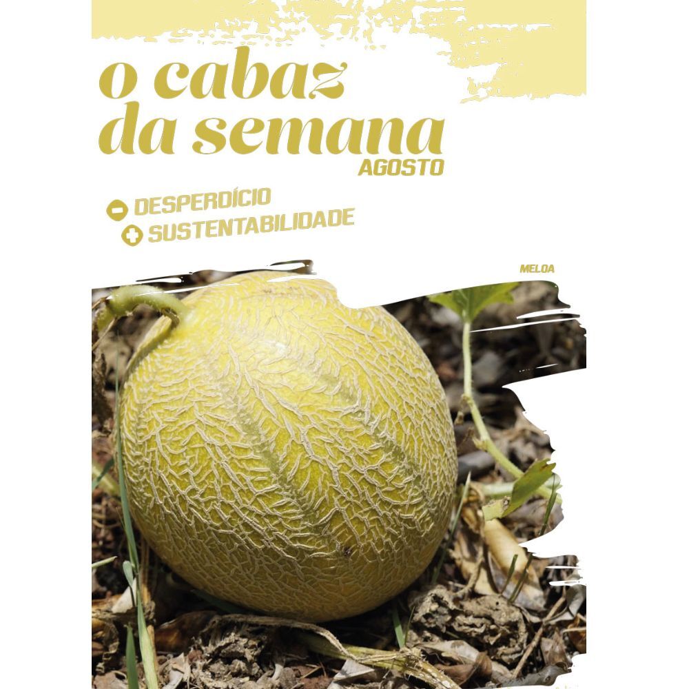 Batido de meloa e manga