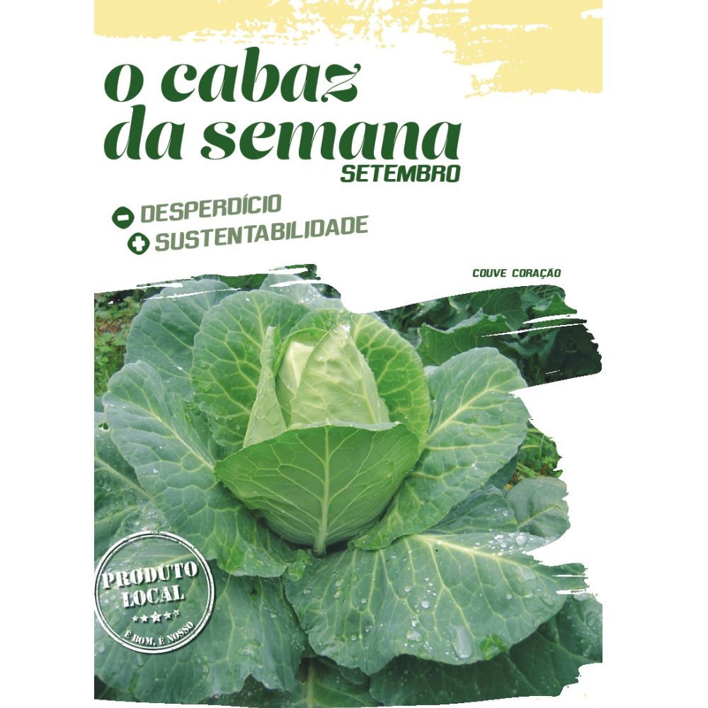 Caldo aromático de cascas de hortícolas