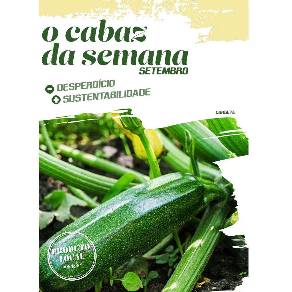 Lasanha de frango e curgete