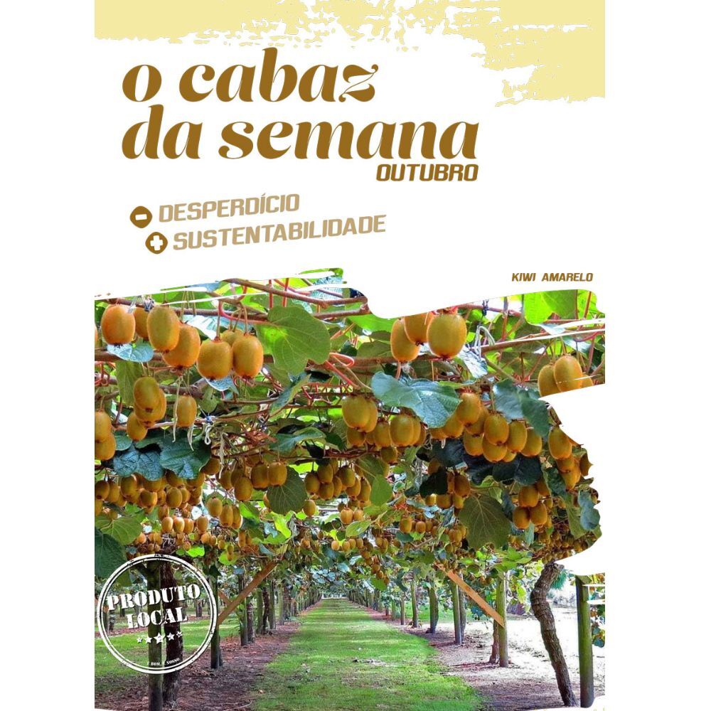 Salada quente de frango, kiwi e espinafres